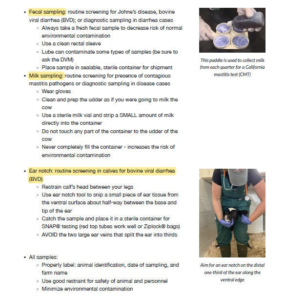 Comprehensive VTNE Notes - Concise VTNE Study Notes for Exam - 80+ Pages with images - Vet Tech Study Notes for VTNE