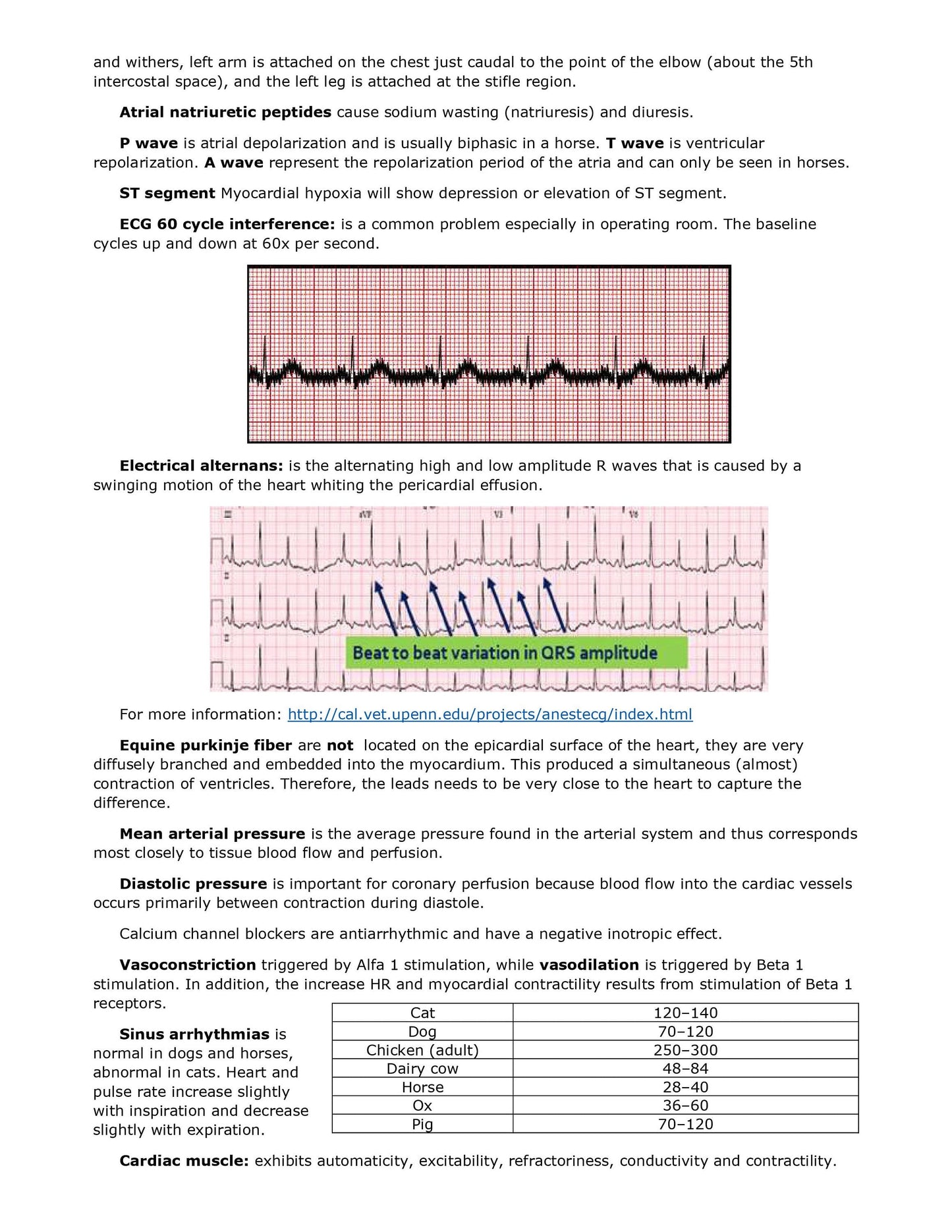 Comprehensive BCSE Study Notes - Complete BCSE Study Notes Bundle - Your Key to NAVLE and Veterinary Specialization Success