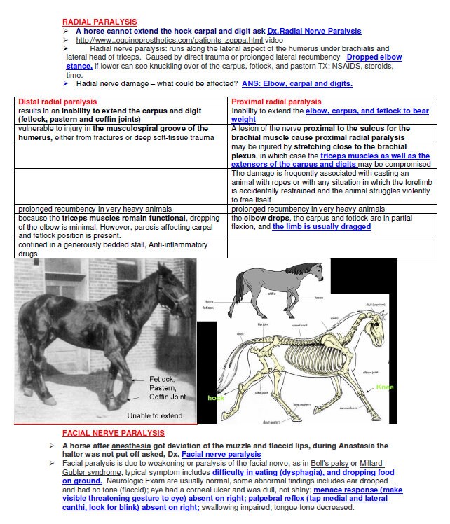 Complete Vet Study Guide - Complete Vet Study Notes - Best Comprehensi ...