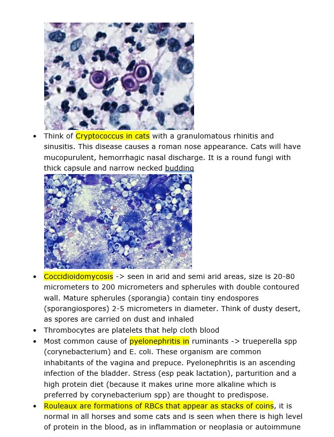 Comprehensive BCSE and NAVLE Study Notes Bundle: Complete BCSE and Navle Notes - Bullet Points - 516 Pages with Images