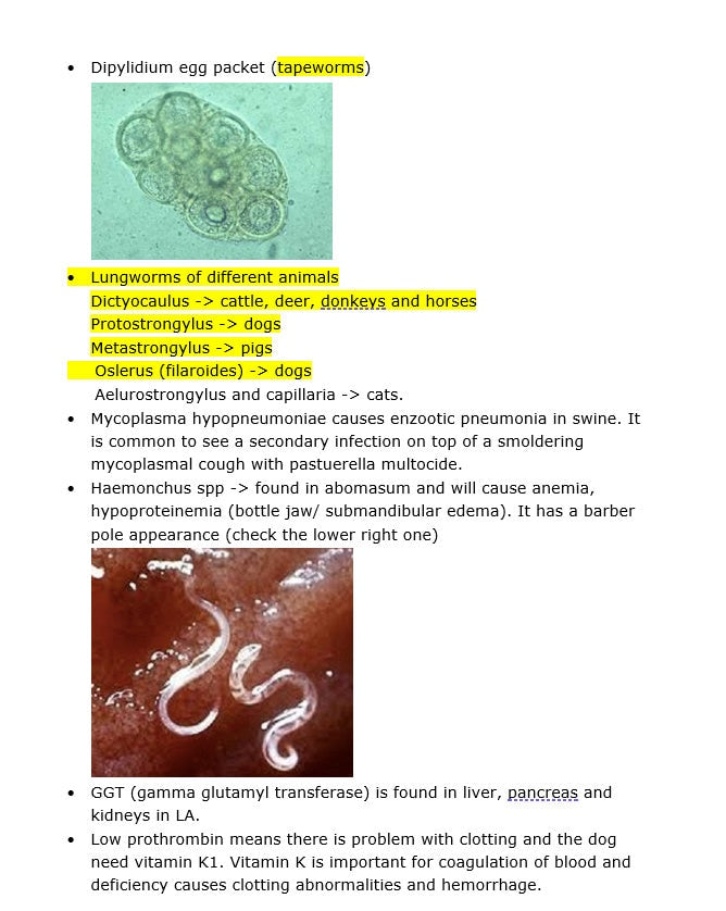 Comprehensive BCSE and NAVLE Study Notes Bundle: Complete BCSE and Navle Notes - Bullet Points - 516 Pages with Images