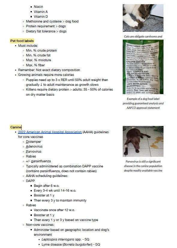 Comprehensive VTNE Notes - Concise VTNE Study Notes for Exam - 80+ Pages with images - Vet Tech Study Notes for VTNE