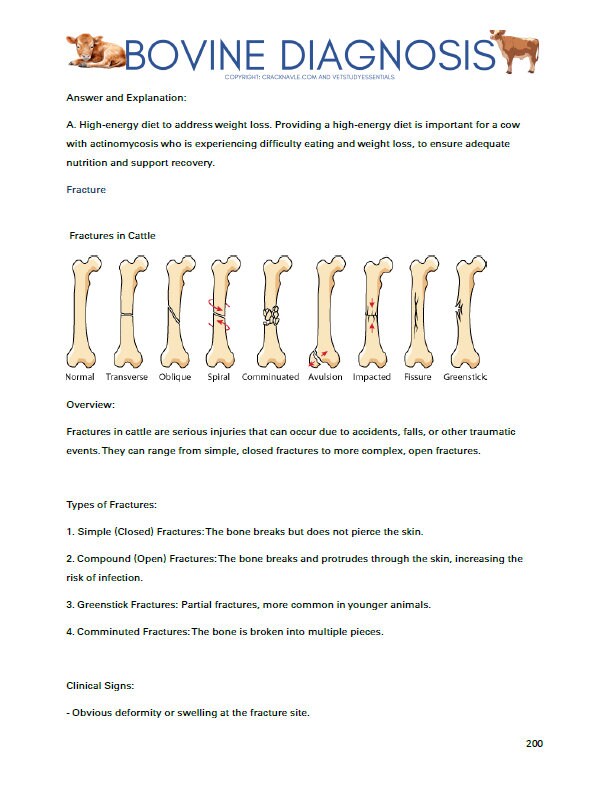 Bovine Diagnosis for NAVLE - Comprehensive Bovine Diagnosis ICVA with 3 NAVLE styled questions of each topic - 680 Pages - Navle Study Guide