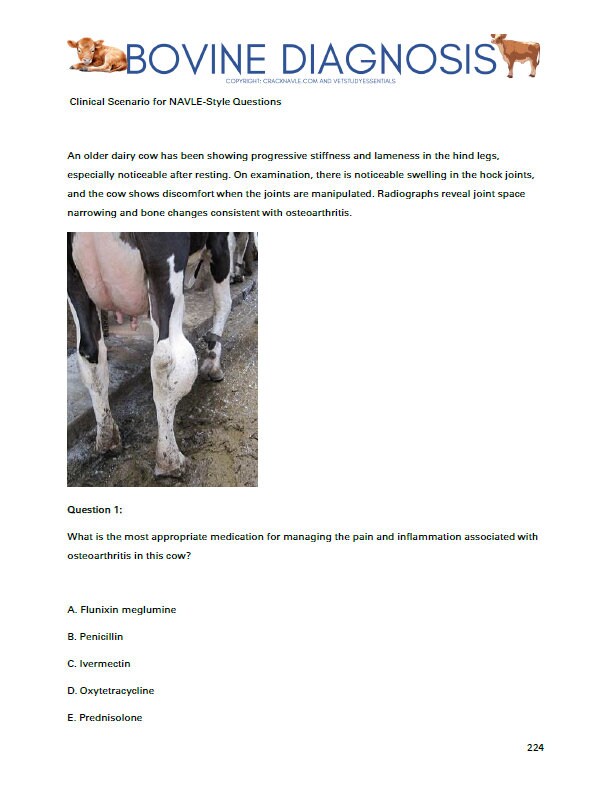 Bovine Diagnosis for NAVLE - Comprehensive Bovine Diagnosis ICVA with 3 NAVLE styled questions of each topic - 680 Pages - Navle Study Guide