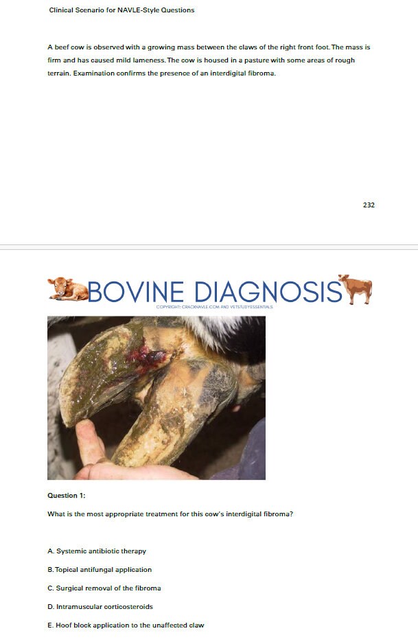 Bovine Diagnosis for NAVLE - Comprehensive Bovine Diagnosis ICVA with 3 NAVLE styled questions of each topic - 680 Pages - Navle Study Guide