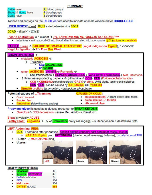 NAVLE Study Guide - Comprehensive NAVLE Study Notes of all Species - Ace the Veterinary Licensing Exam