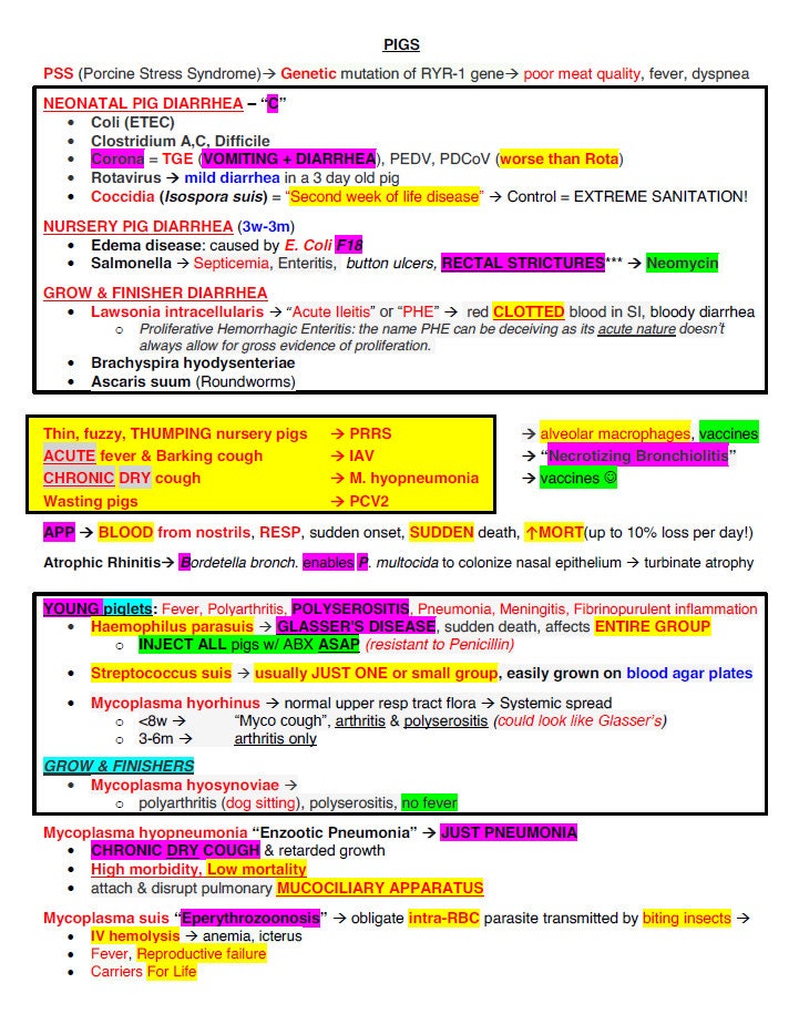 NAVLE Study Guide - Comprehensive NAVLE Study Notes Of All Species - A ...