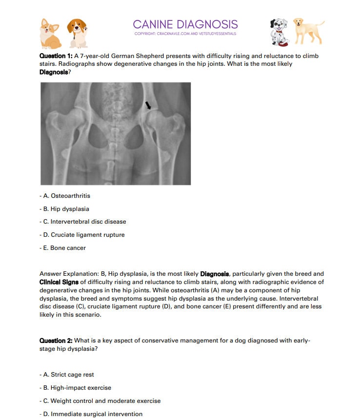 Canine Diagnosis for NAVLE - Canine Diagnosis ICVA with 3 NAVLE styled questions of each topic for Navle prep 700 Pages - Navle Study Guide