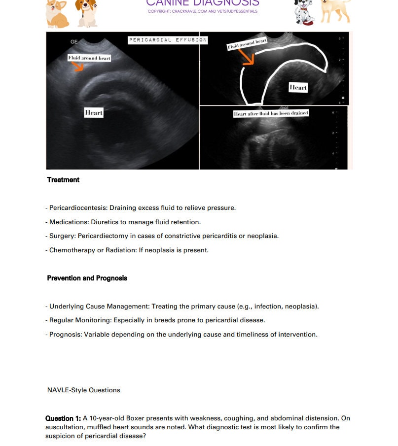 Canine Diagnosis for NAVLE - Canine Diagnosis ICVA with 3 NAVLE styled questions of each topic for Navle prep 700 Pages - Navle Study Guide