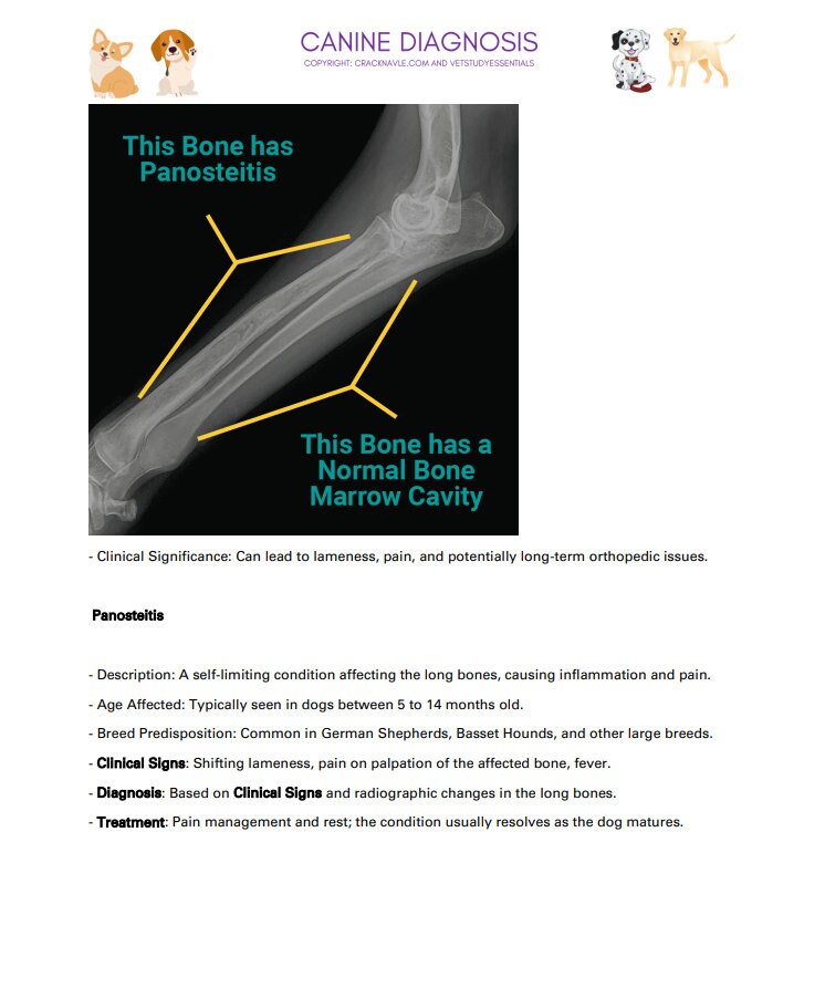 Canine Diagnosis for NAVLE - Canine Diagnosis ICVA with 3 NAVLE styled questions of each topic for Navle prep 700 Pages - Navle Study Guide