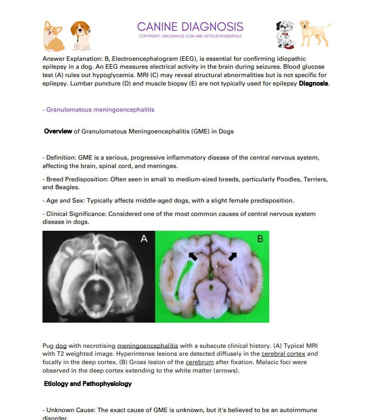 Canine Diagnosis for NAVLE - Canine Diagnosis ICVA with 3 NAVLE styled questions of each topic for Navle prep 700 Pages - Navle Study Guide