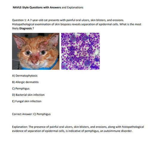 Feline Diagnosis for NAVLE - Feline Diagnosis ICVA with 3 NAVLE styled questions of each topic for Navle prep -630 Pages - Navle Study Guide