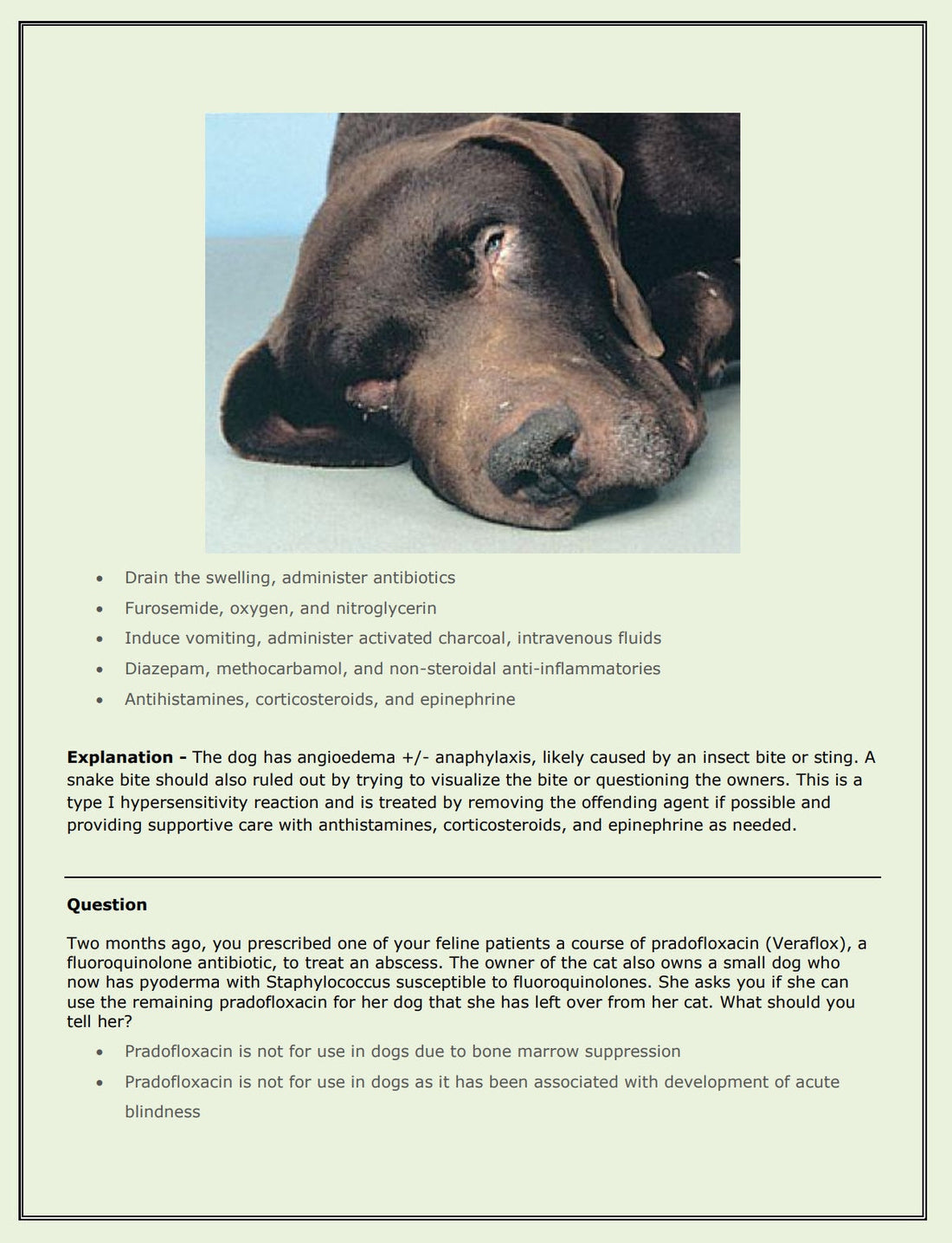 Crack NAVLE: Premium NAVLE Study Notes & Vet School Notes