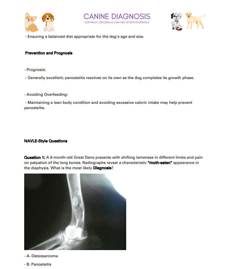 Canine Diagnosis for NAVLE - Canine Diagnosis ICVA with 3 NAVLE styled questions of each topic for Navle prep 700 Pages - Navle Study Guide