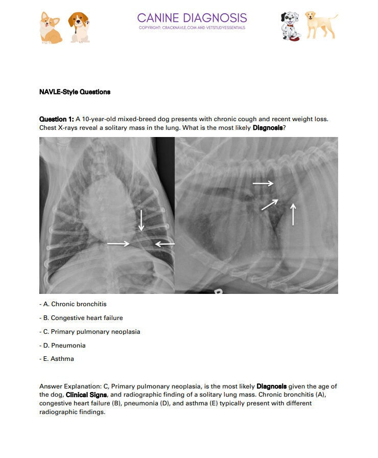 Canine Diagnosis for NAVLE - Canine Diagnosis ICVA with 3 NAVLE styled questions of each topic for Navle prep 700 Pages - Navle Study Guide