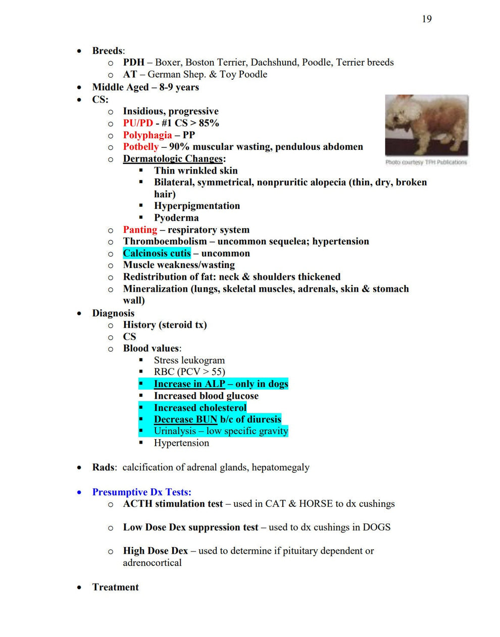NAVLE Success Bundle: NAVLE Prep Guide - Comprehensive NAVLE Study Gui ...